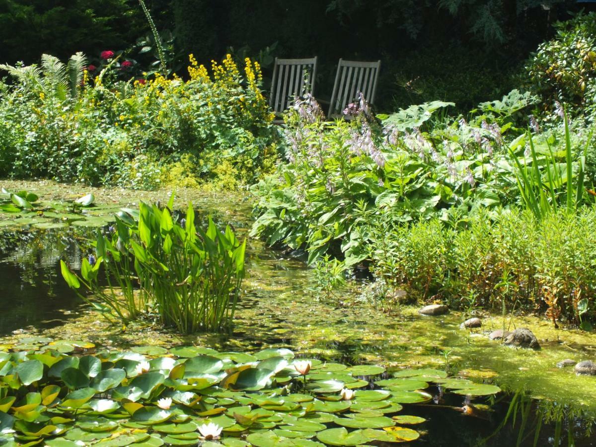 B&B Houtstee Veendam Exteriér fotografie